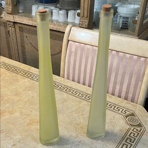 Elegant Frosted Glass Vases with Cork Stoppers